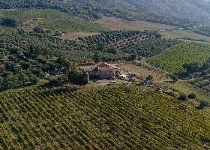 Luce Di Vino Farmház *