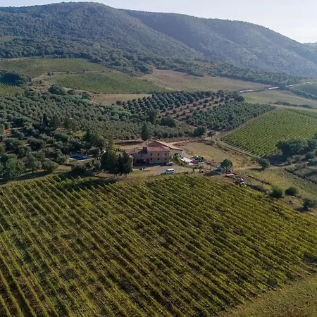 Luce Di Vino Farm stay *