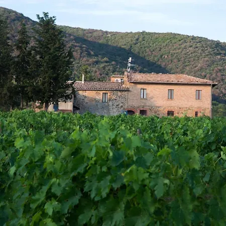 Luce Di Vino Farm stay Montalcino