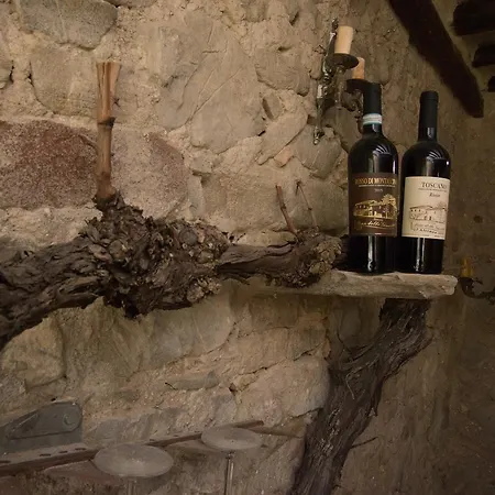 Farm stay Luce Di Vino Montalcino