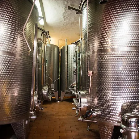 Luce Di Vino Farm stay