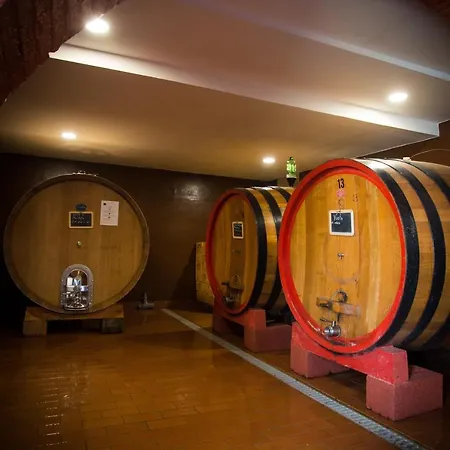 Luce Di Vino Farm stay